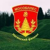 Ногинское лесничество