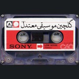 گلچین موسیقی معتدل