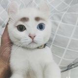 Рисую рисунки🤯 (Yablae)
