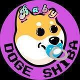 Baby DogeShiba