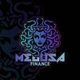 Medusa Finance Portal