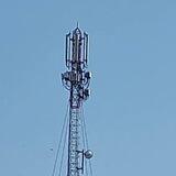 Antenele care ucid.