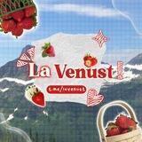 ✧ •— LaVenust :: OPEN