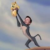 MUSK DOG2.0中文群