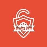BridgeVPN