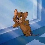 Чат 🐭 Jerry • FORZE