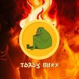 Toady Burn Portal
