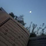 - Study Islamic