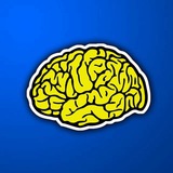 BRAINSTORM 🧠