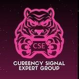 Currency Signal Expert Group