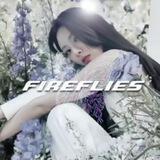 fireflies