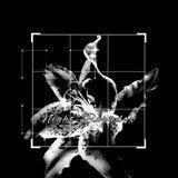 ✥•>ℕℐᎶℋᏆ ℙᎯℛᎯⅅᎾX<✥