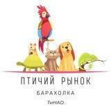 Птичий рынок/Барахолка ТиНАО