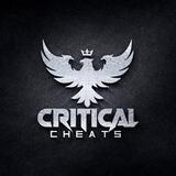 CRITICAL CHEAT