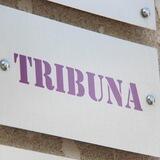 TRIBUNA.md - totul despre politică!