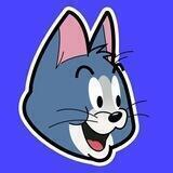 Tom coin (official)