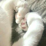 KyuPaw <3!