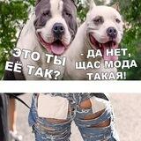 Про юмор