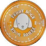 Teddy Doge official Group