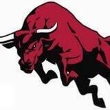 Bull 🐂 time token portal