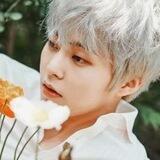 kim xiumin