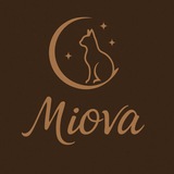 میووا شاپ✨رضایت/اعتماد