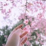 رحيق ميم🌸✨