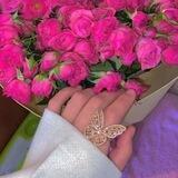 ℳ𝒾𝓈𝓈_𝒮𝒽🌷💞