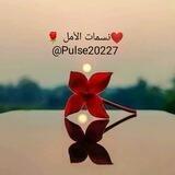 🌹 نسـمات الأمـل ❤️