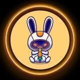 MechaBunny ENTER