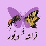 فُـراشُــــه وَ دبــُّـور