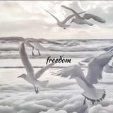 𝚏𝚛𝚎𝚎𝚍𝚘𝚖
