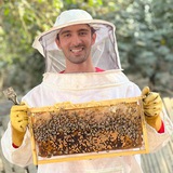 🐝 عسل کندودار 🐝