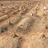 قِصَرُ الْأَمَل وَالاستِعدَادُ لِبَغتَةِ الأَجَل