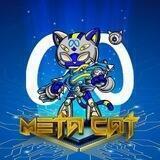 MetaCat Portal