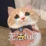 泡泡Dog | 十八线机场