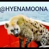 HYENAMOON