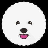 Bichon Inu Coin | The Next CHH