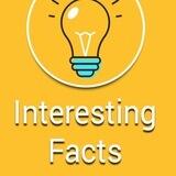 INTERESTING FACTS