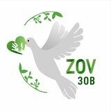 Фонд помощи «ЗОВ» ZOV