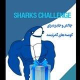 چالش کوصه ها Shark Challenge