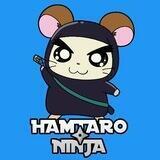 HAMTARO NINJA 🥷 | BSC