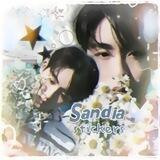 sᥲᥒɗiᥲ 𔓕 sᴛiᥴκᥱrs ¯ࡇ¯