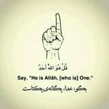 ﷽❀⇜قُلْ هُوَ اللَّهُ أَحَدٌ⇝❀﷽