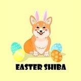 Easter Shiba | 0% Tax 🥚🐕