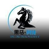 湖畔 黑马搭建