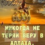 Панду Насиҳат✍