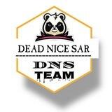 FREE FILE DNS TEAM