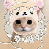 DUDUL :3 Read Pinned.