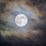 Dreaming of the moon